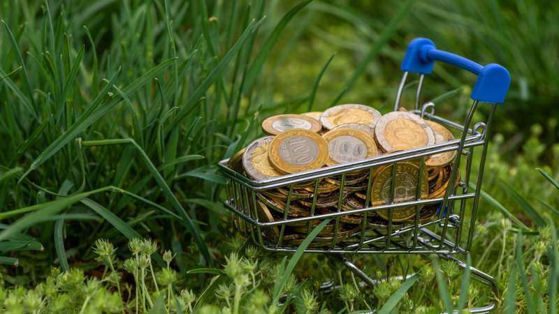 Финансовые субсидии на весенне-полевые работы фермерам в Казахстане отменят в 2025 году – будут выдавать кредит под низкий процент