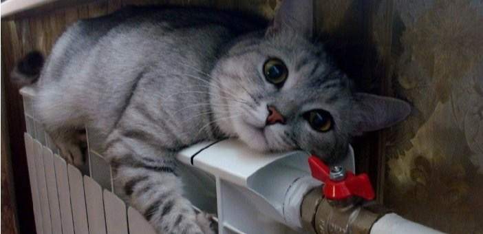 Жители Усть-Каменогорска жалуются на холод в квартирах