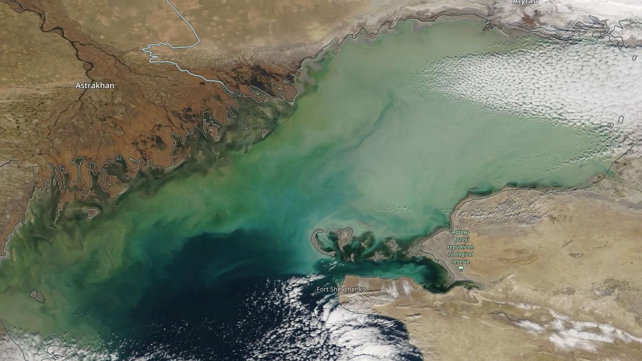 Казахстанские активисты запускают глобальное движение #SaveTheCaspian