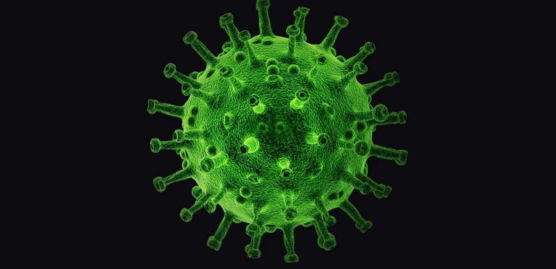 Свиной грипп добрался до ЗКО. Зарегистрировано уже 34 заболевших ребёнка