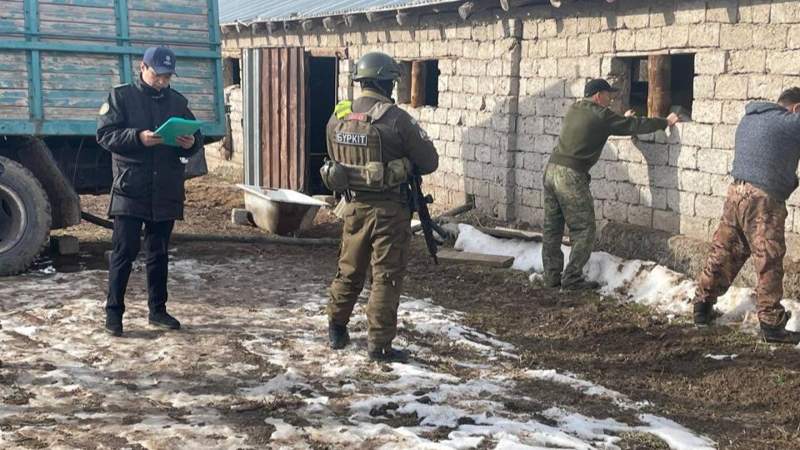 Преступная группировка гоняла нефть через туннель из Казахстана в Узбекистан