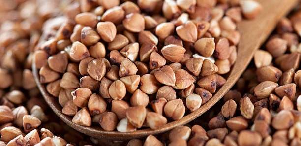 В Беларуси запретили алтайскую гречку, потому что она долго варится