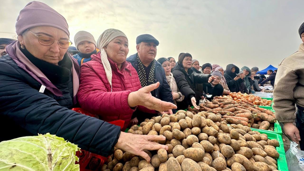 Узбекистан и Россия потеряли объём: почему цена картофеля выросла в Казахстане