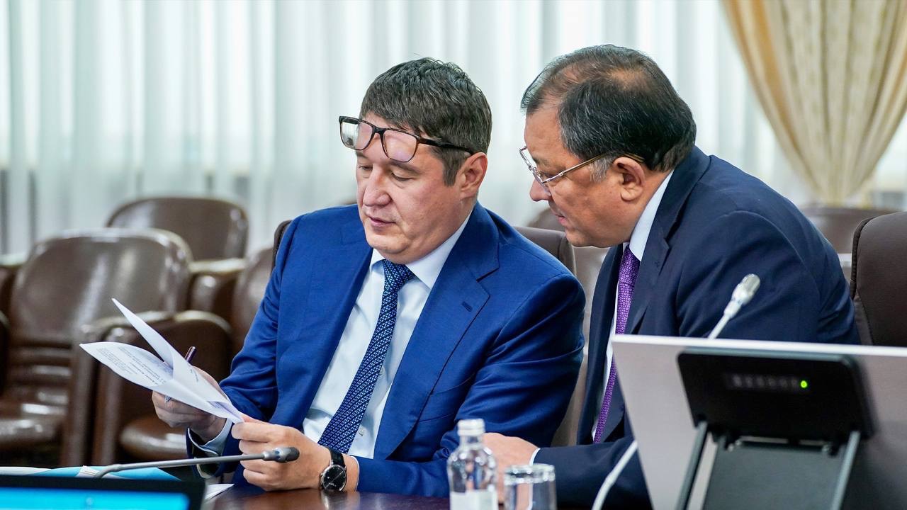 С составом консорциума или вендором, который построит АЭС в Казахстане, определятся до 1 июля