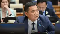 Ущерб от нарушений по ОСМС может составлять 60 млрд тенге &ndash; Базарбек