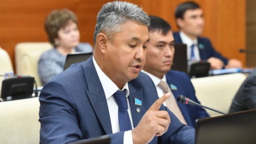 Уплата НДС иностранными маркетплейсами не соответствует продажам – депутаты "Ак жола" вновь обратились к Жумангарину 
