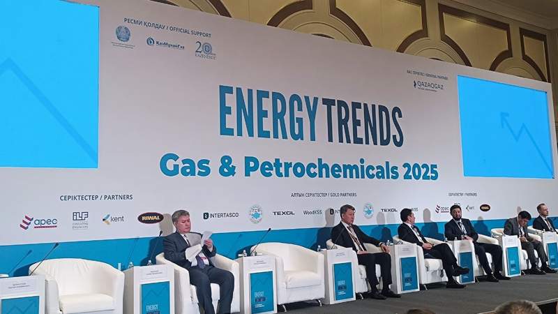 Нужно отказаться от госрегулирования цен на газ в Казахстане – Сергей Агибалов