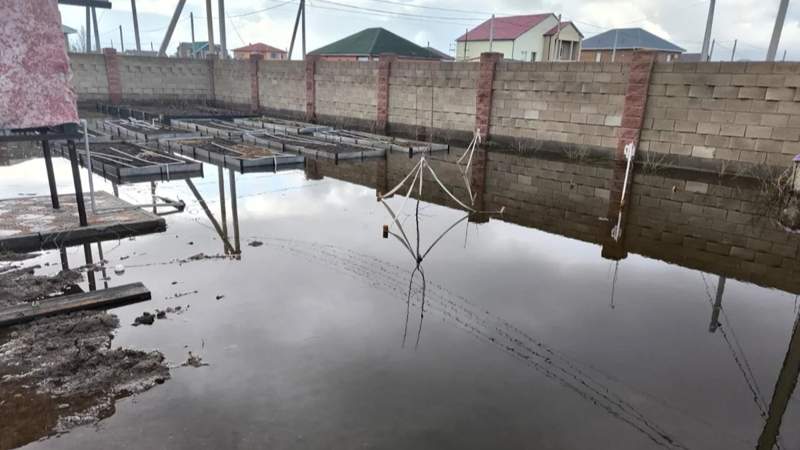 Грунтовые воды затопили посёлок Жибек Жолы под Астаной
