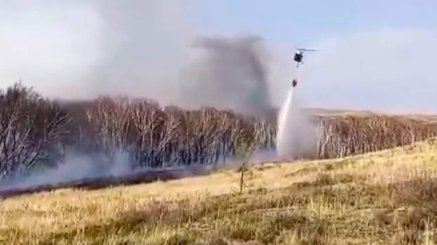 В Карагандинской области загорелись трава и лес возле села Айнабулак