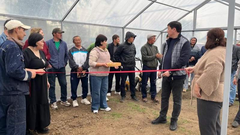 Ауылдағы жаңа мүмкіндік: БҚО-да жылыжай арқылы өз ісін бастағандар көбейіп келеді