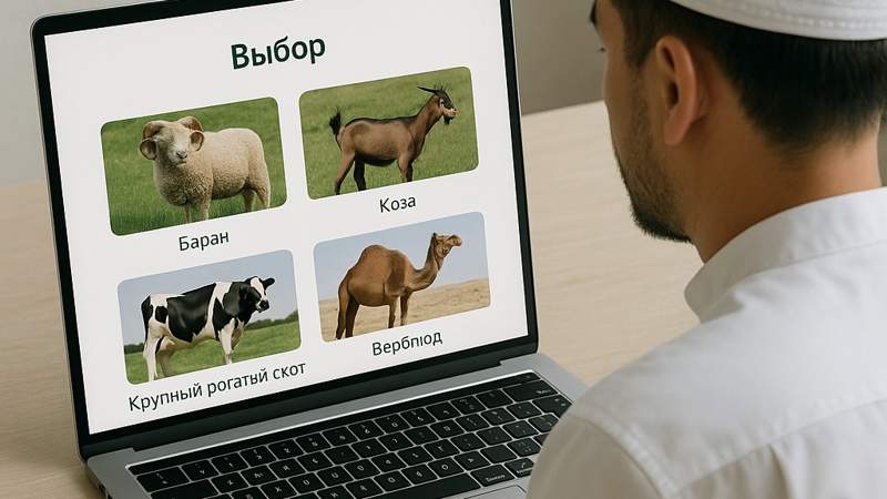 В Казахстане запущен сайт для онлайн-жертвоприношения к Курбан айту