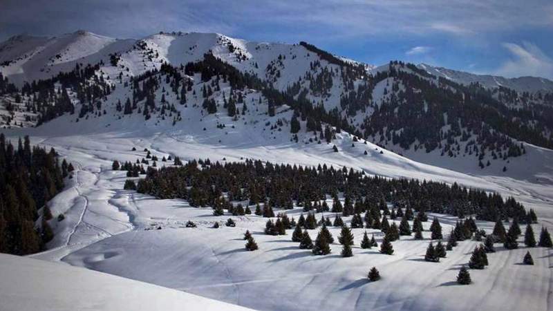 В маслихат Алматы пока не заходили проекты застройки Кок-Жайляу – председатель Отыншиев