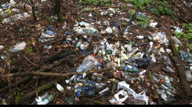 Мусор в парке undefined