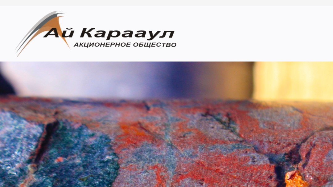 Turlov Private Holding намерен поменять члена совета директоров в АО "Ай Карааул"