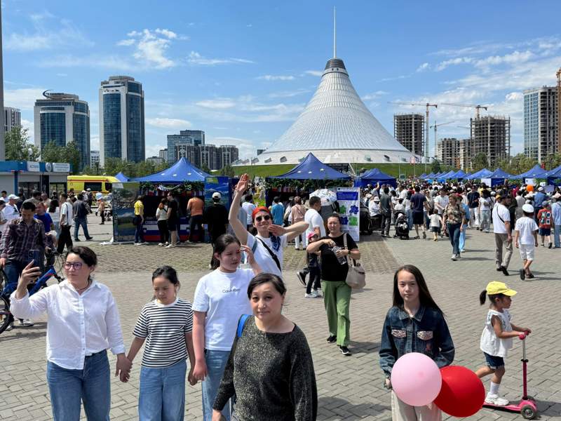 В столице ко Дню города создадут гигантского кота из пластика