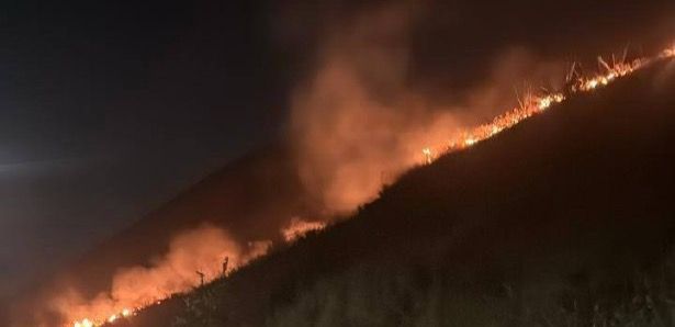 МЧС Казахстана: пожарные вручную потушили огонь на горном склоне в Алматы