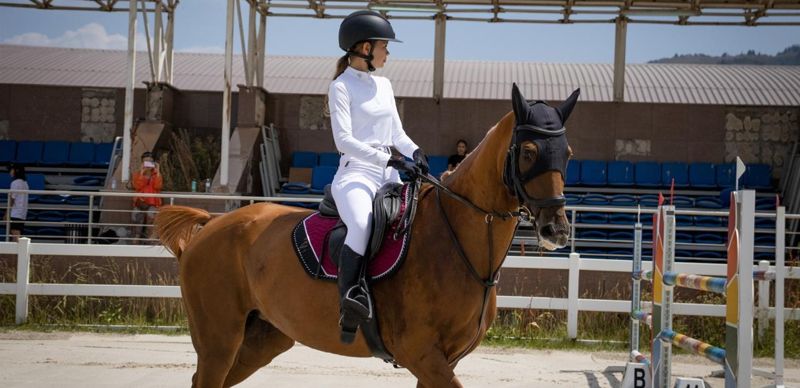 Лебедь, Тутанхамон и Конкистадор стали звёздами чемпионата по конкуру