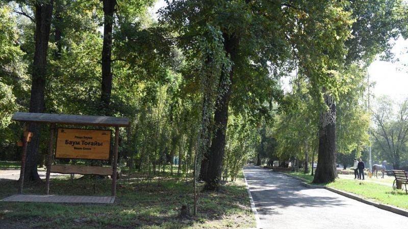 Акимат Алматы начинает благоустройство рощи Баума