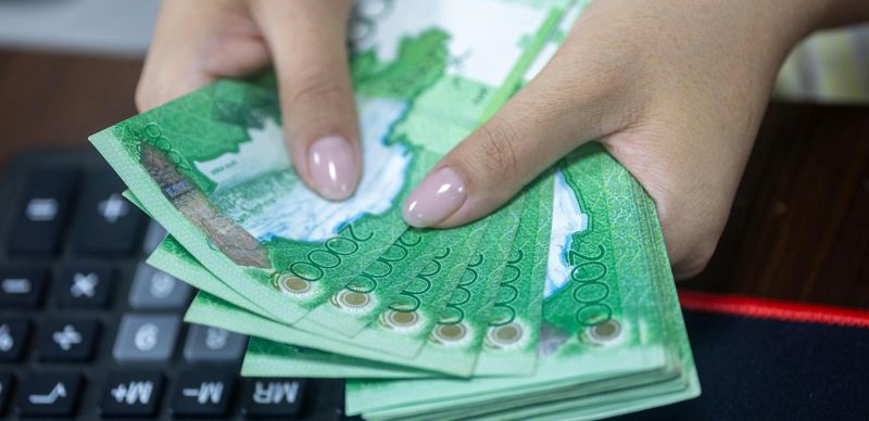 Государственные гранты для НПО: сколько выделяют денег и на какие проекты