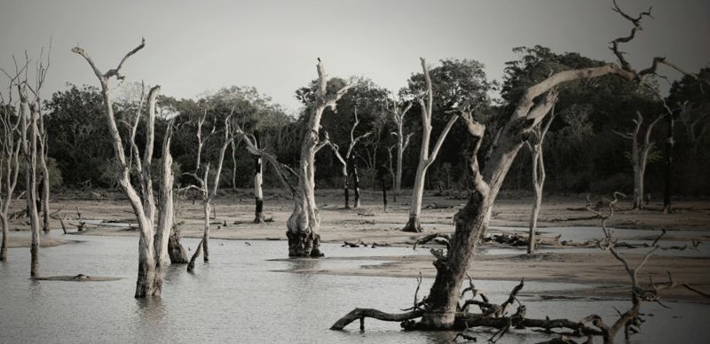 Сель смыл деревню в Индии: более 50 человек пропали без вести