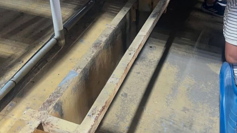 "Сочувствую, если ваши места на концерт Джей Ло – 19 ряд, 1-6 места" – житель Алматы