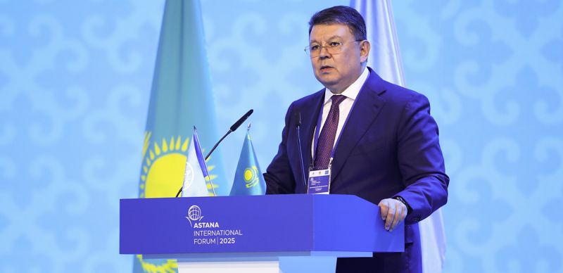 Бозумбаев раскритиковал журналистов, которые освещают проблему Малого Талдыколя