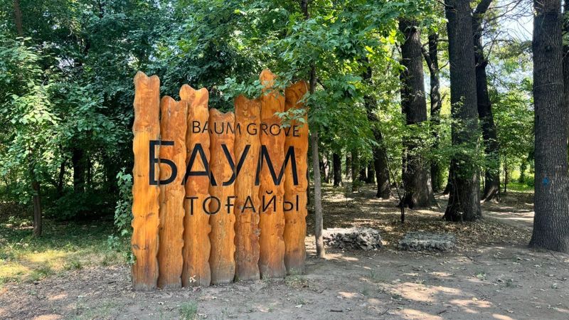 Почти 5 млрд тенге и вырубка деревьев: алматинцы о будущем рощи Баума