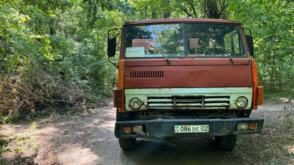 Грузовик в роще Баума