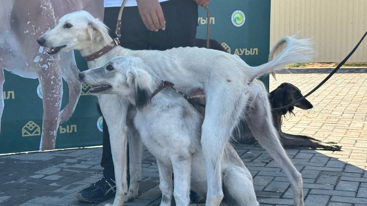 В Казахстане появился новый праздник 