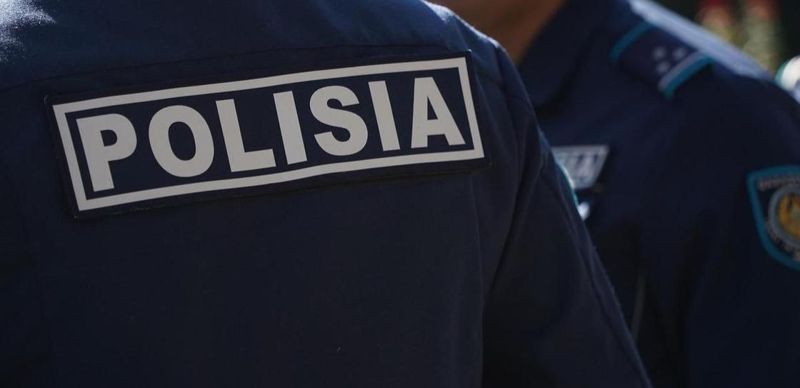 Кого МВД направило для проверки жалоб на ОПГ среди полицейских