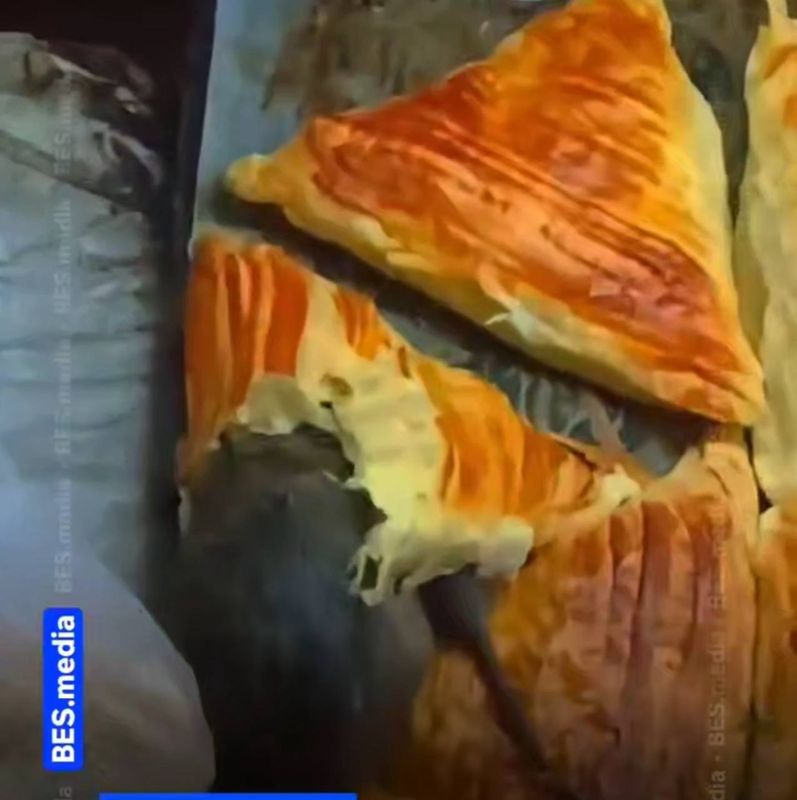 Крысы поедали самсу с витрины киоска в Алматы: санврачи проверят заведение 