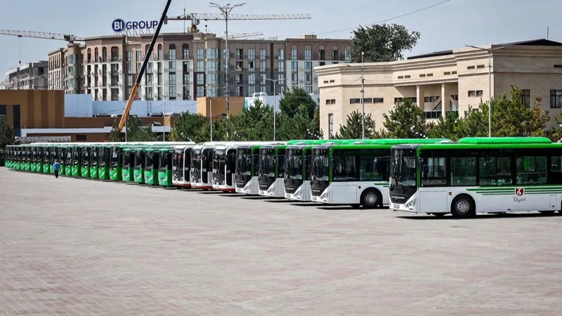 Новые автобусы 