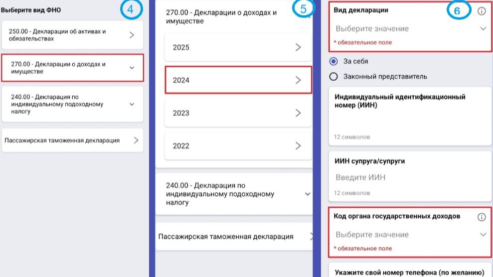 Коллаж инструкции по заполнению декларации 270.00