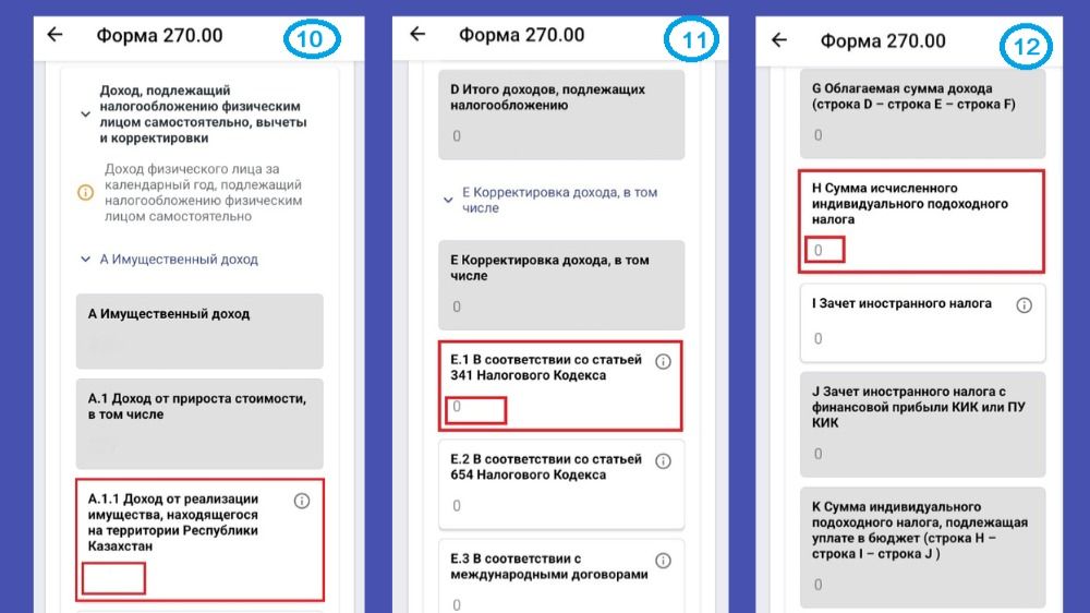 Коллаж инструкции по заполнению декларации 270.00