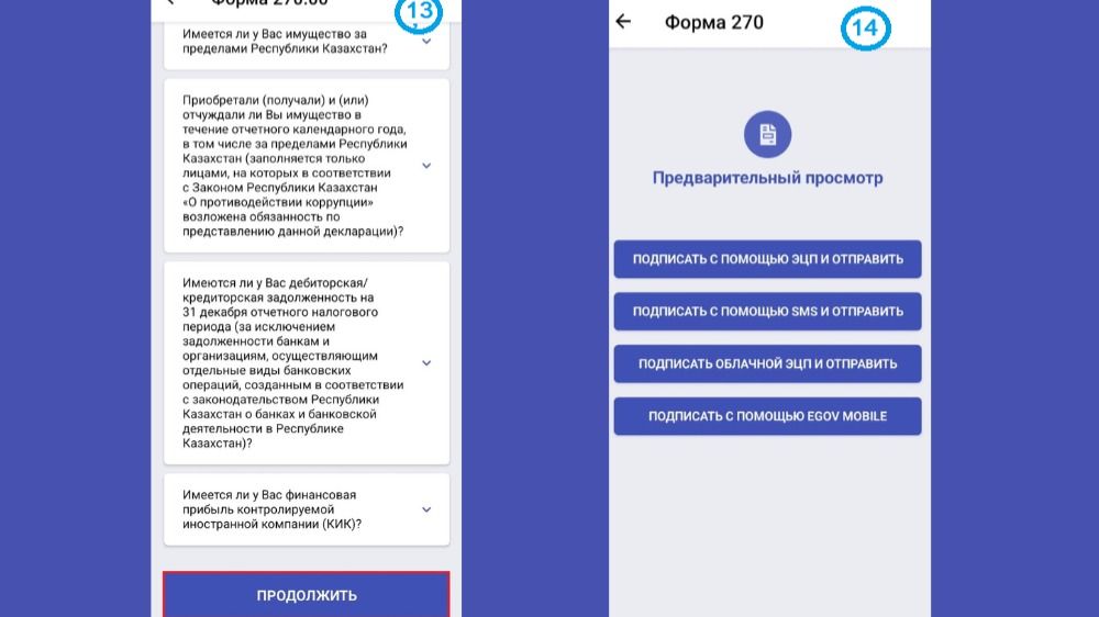 Коллаж инструкции по заполнению декларации 270.00