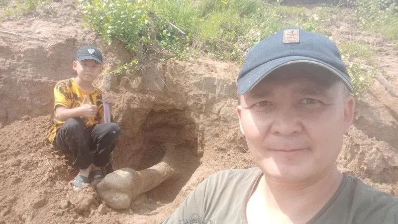 Кость мамонта 