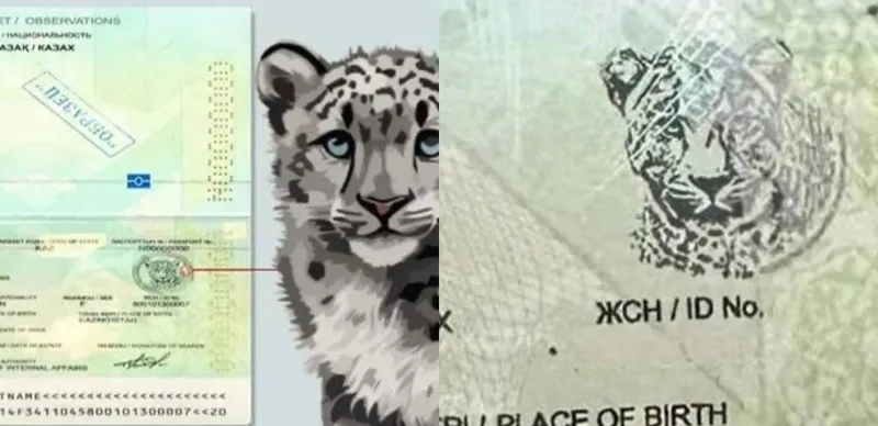 Изображение барса в новом паспорте РК