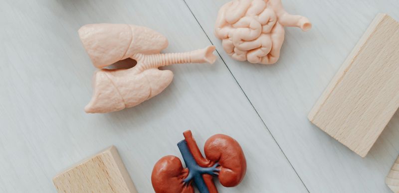 Минздрав считает важным формировать доверие к посмертному донорству