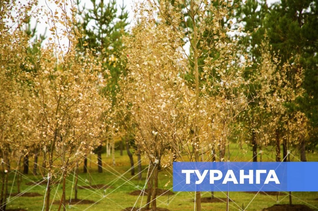 Туранга