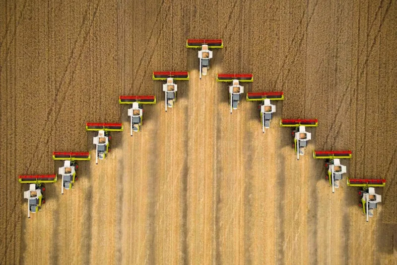 Поле в Акмолинской области