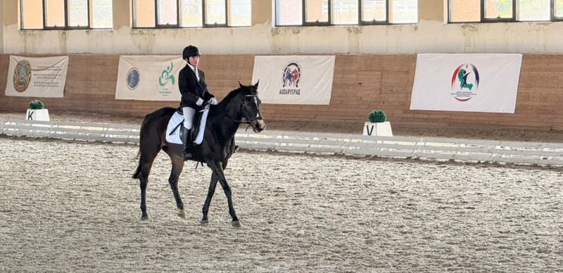 Определены лучшие участники чемпионата Казахстана по выездке