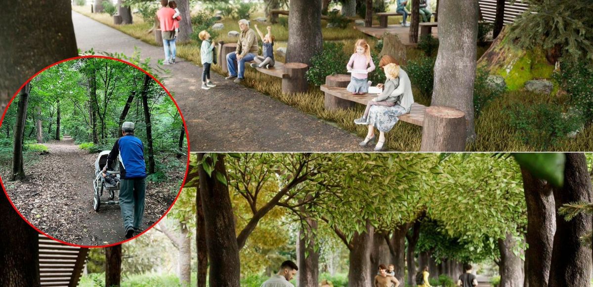 Проект рощи Баума