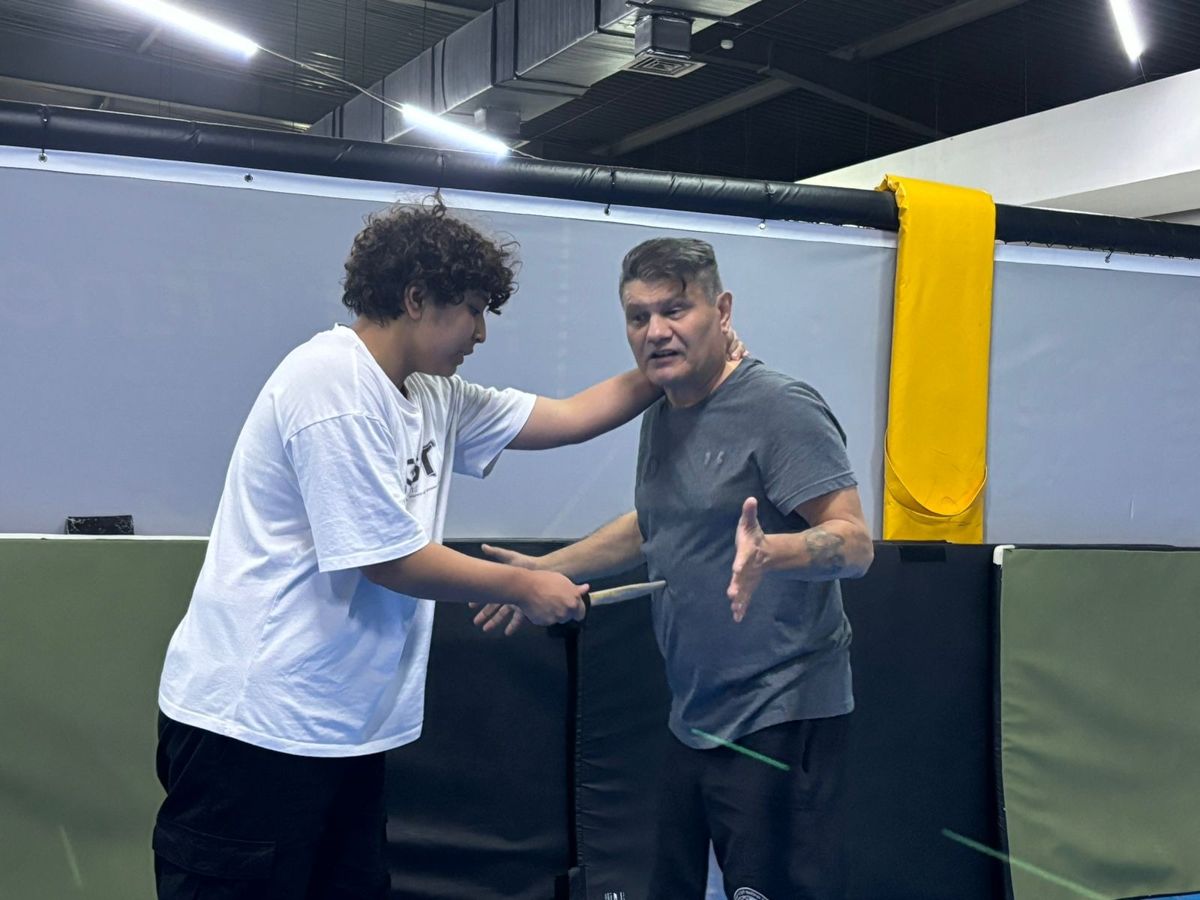 Обучение в Safe Life