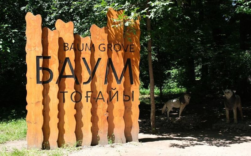 В роще Баума обнаружили незаконную вырубку деревьев