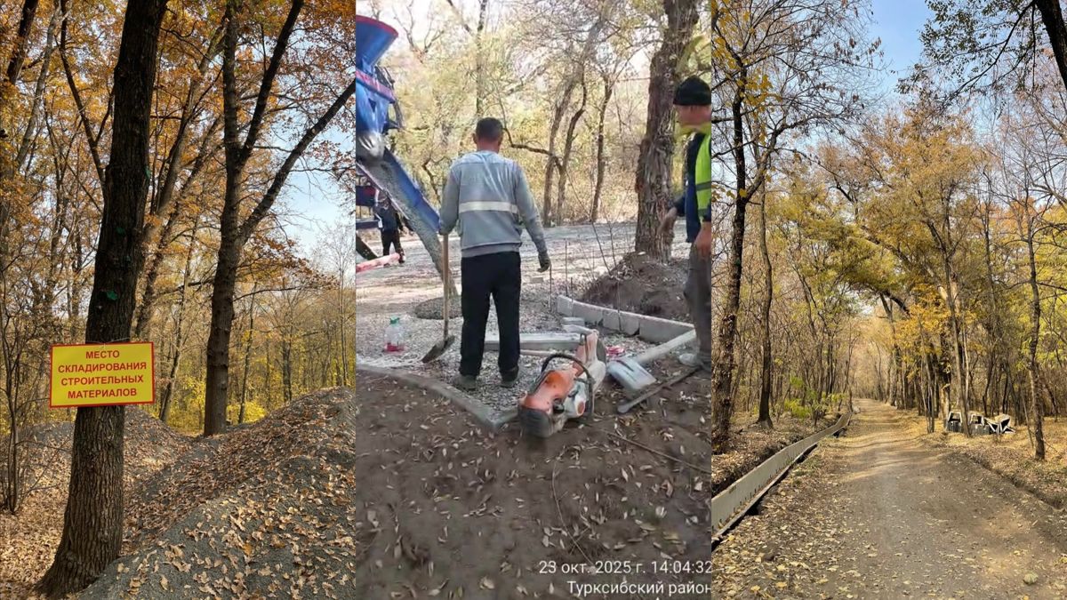 Работы в роще Баума