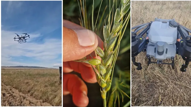Дроны на поле
