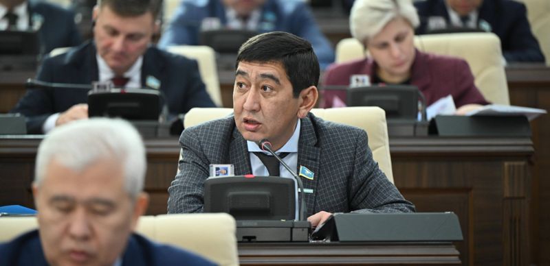 Депутат объяснил норму про госязык из Конституции на примере роста Наполеона