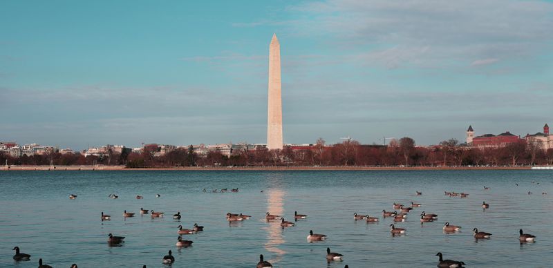 Президент Трамп утвердил закон о раскрытии материалов по делу Эпштейна