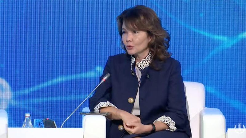 Государству не стоит заходить в ниши с частной конкуренцией – глава Halyk