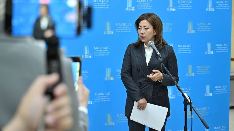 Глава АРРФР представила меры по снижению закредитованности населения и стимулированию бизнеса